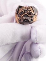 Кольцо из золота c эмалью